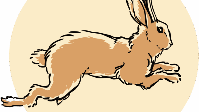 0_logo_4grpw3m5uut